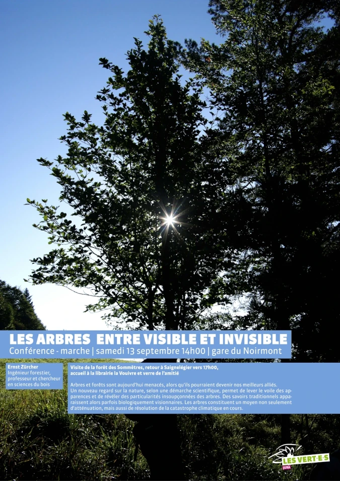 LES ARBRES ENTRE VISIBLE ET INVISIBLE